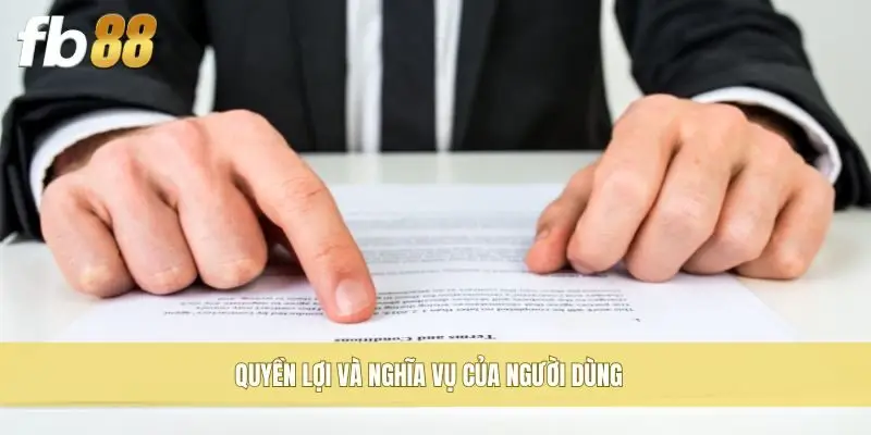 Quyền lợi và nghĩa vụ của người dùng