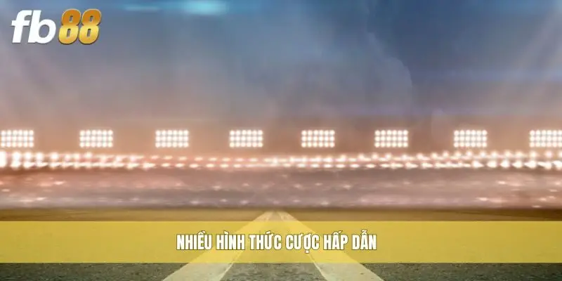 Nhiều hình thức cược hấp dẫn