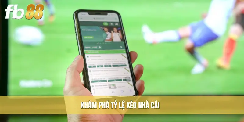 Khám phá tỷ lệ kèo nhà cái